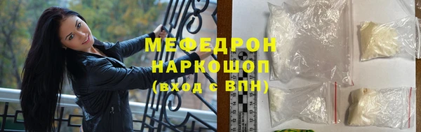 spice Богородицк