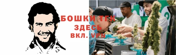 spice Богородицк
