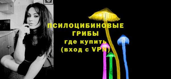 мдма Богородск