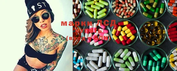 spice Богородицк