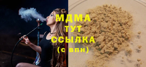 spice Богородицк