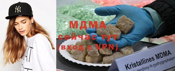 spice Богородицк