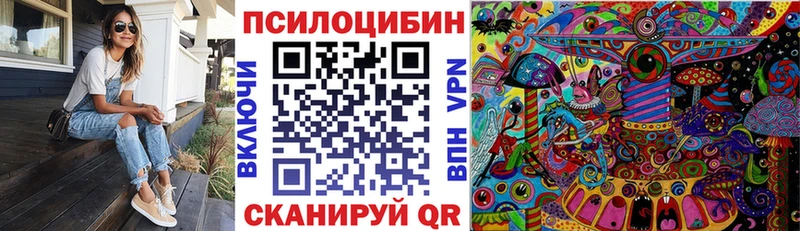 Купить закладки  Алексеевка  Псилоцибиновые грибы мухоморы 